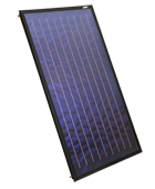 Kolektor