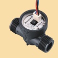 EPVE Focus